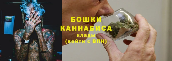 амф Сосновка