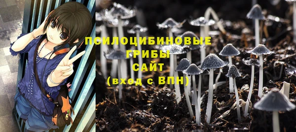 гашиш Сосновоборск