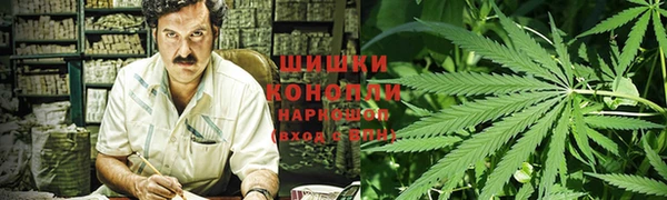 амф Сосновка