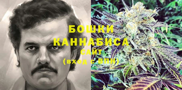 амф Сосновка