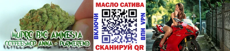 Купить закладки  Закаменск  Дистиллят ТГК вейп 