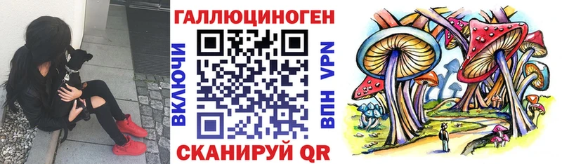 Галлюциногенные грибы Magic Shrooms  Купить где  Закаменск 